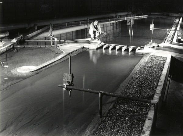 Barrage and diversion on the river Euphrates, Iraq | Artelia Hydraulics