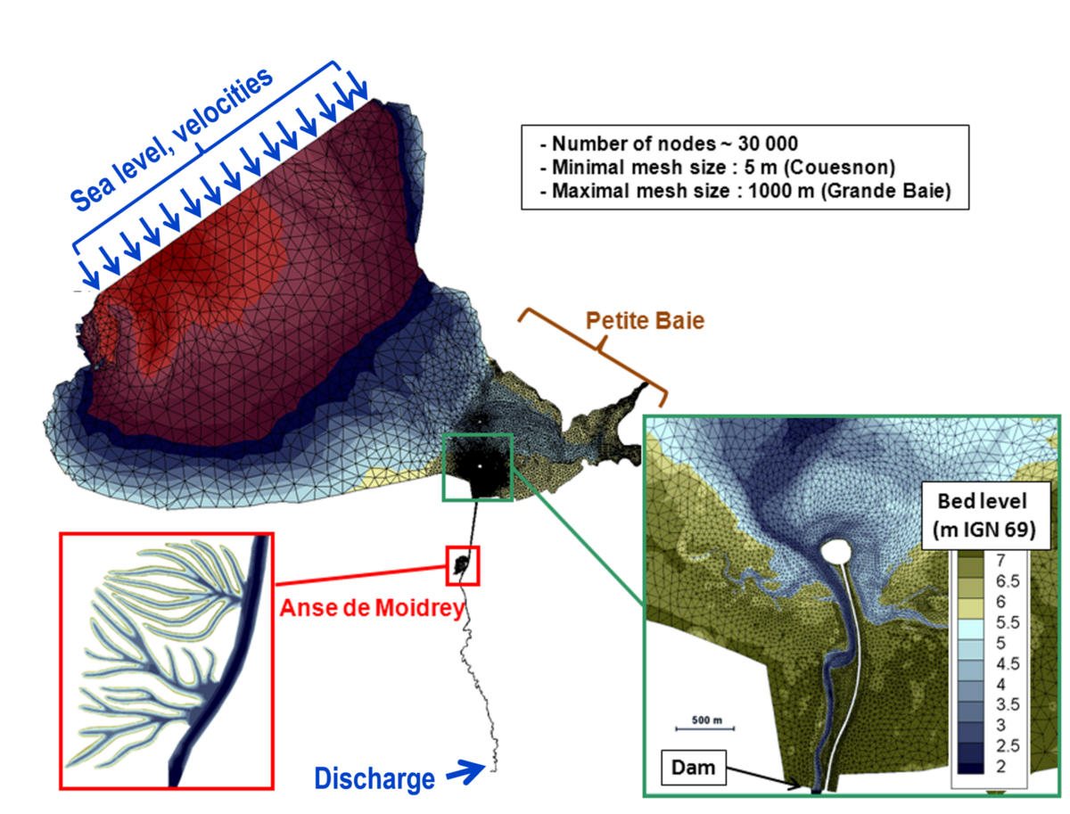 Hydrosedimentary numerical model | Artelia hydraulics
