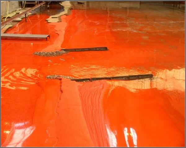 View of the developed channel | Artelia hydraulics