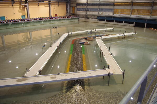 Modelling of the breakwater in wave basin | Artelia hydraulics