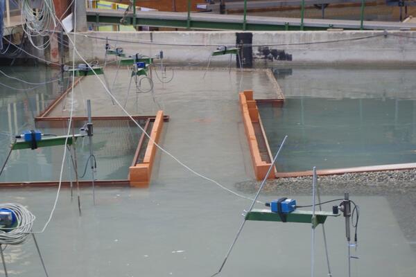 Wave disturbance measurements in the harbour basins | Artelia hydraulics