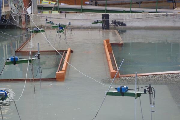 Wave disturbance measurements in the harbour basins | Artelia hydraulics