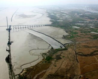 Tidal flat in the Seine estuary | Artelia Hydraulics