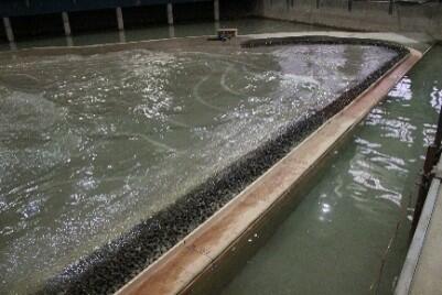 Modelling of wave propagation along the main breakwater