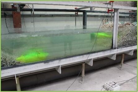 Views of the flow in the intake basin | Artelia hydraulics