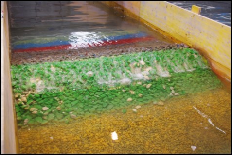 Overtoppings on the rear side slope | Artelia hydraulics