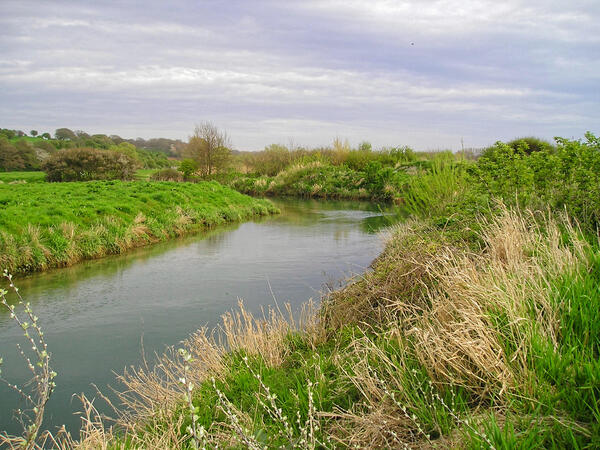 Saâne River upstream of the outlet | Artelia hydraulics