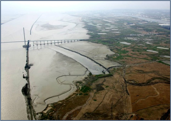 The mudflats (mitigation measure) | Artelia hydraulics