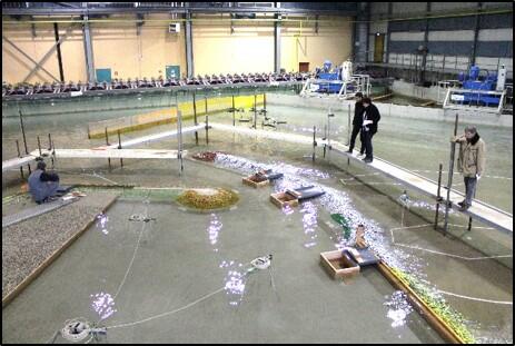Stability and wave overtoppings in the wave tank 