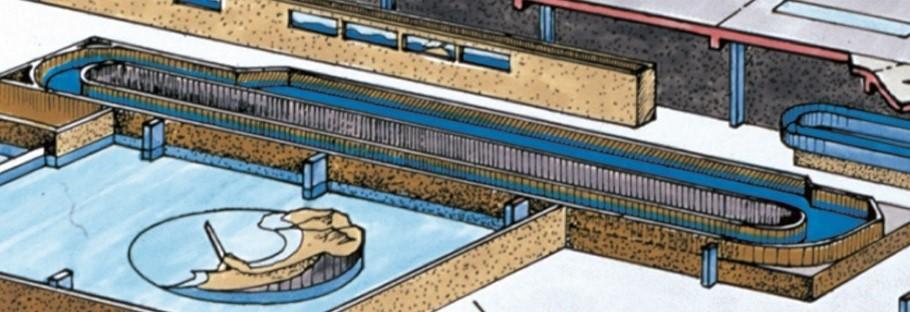 Outline drawing of the looped flume | Artelia Hydraulics